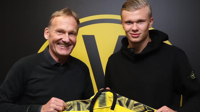 松松软糯驾到，一秒萌化 游戏《松松总动员》已开启双端预约