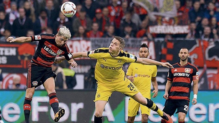 数据揭示真相！为何哈里森甘冒风险毅然交易东契奇？